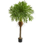 5.5' Robellini Palm Artificial Tree 5541 By Nearly Natural