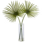 Fan Palm Arrangement