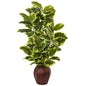 Rubber Plant with Planter