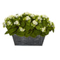 14" Kalanchoe Artificial Plant in Black Embossed Planter