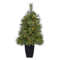3.5' Golden Tip Washington Pine Artificial Christmas Tree w/ 50 Clear Lights