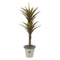 62"  Yucca Artificial Tree in Decorative Planter