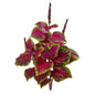 23"  Coleus Bush Artificial Plant (Set of 6)