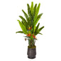 62"  Bird of Paradise Artificial Plant in Decorative Planter