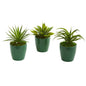 Mini Agaves Artificial Plant in Green Planter (Set of 3)