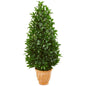4.5' Bay Leaf Cone Topiary Artificial Tree in Terra Cotta Planter UV Resistant