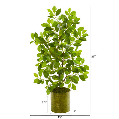 37" Mini Ficus Artificial Tree in Green Planter