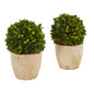 6" Boxwood Ball Preserved Plant in Planter (Set of 2)