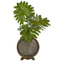 Selloum in Open Weave Vase