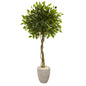 5.5' Ficus Artificial Tree in Oval Planter UV Resistant