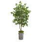 57" Oak Artificial Tree in Vintage Metal Planter