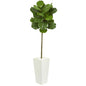 5.5' Fiddle Leaf Artificial Tree in White Tower Planter