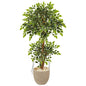 55' Variegated Ficus Artificial Tree in Sandstone Planter