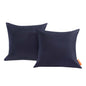 Convene 2 Piece Outdoor Patio Pillow Set by Modway