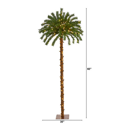 5' Christmas Palm Artificial Tree with 150 Warm White LED Lights