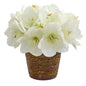 Amaryllis Artificial Arrangement in Basket