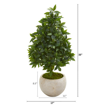 33" Sweet Bay Cone Topiary Artificial Tree in Sand Colored Planter