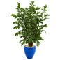 5' Fishtail Palm Artificial Tree in Glazed Blue Planter