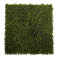 12"  x 10"  Boxwood Mat (Set of 12)