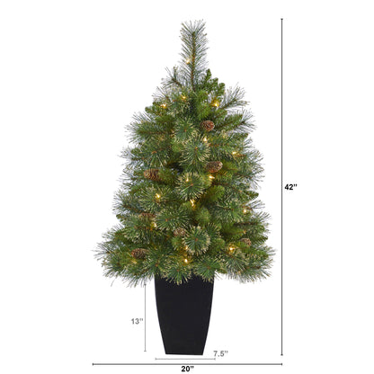 3.5' Golden Tip Washington Pine Artificial Christmas Tree w/ 50 Clear Lights