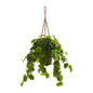 34"  Peperomia Artificial Plant in Hanging Basket (Real Touch)