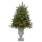 3.5' South Carolina Spruce Artificial Christmas Tree w/ 100 White Warm Light