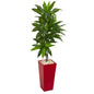 5' Dracaena Artificial Plant in Red Planter (Real Touch)