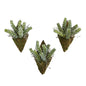 8"  Sedum Succulent Artificial Wall Decor Plant (Set of 3)