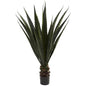 52"  Giant Agave Plant
