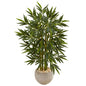 4' Bamboo Tree in Sand Colored Bowl