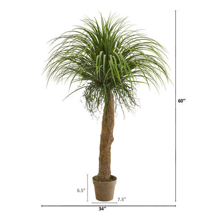 5' Molina Artificial Plant