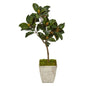 42" Magnolia Leaf Artificial Tree In Country White Planter