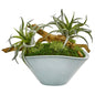 Air Plant Artificial Succulent in Green Vase