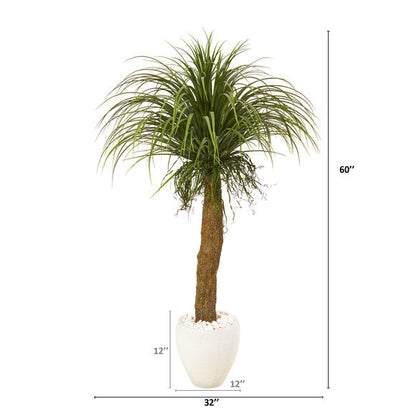 5' Pony Tail Palm Artificial Plant in White Planter