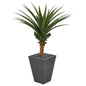 Agave Artificial Plant in Ceramic Planter
