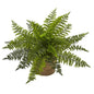 15"  Ruffle Fern Bush w/Burlap Base (Set of 2)