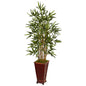 4.5' Bamboo Tree in Decorative Planter