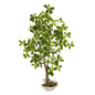 4' Schefflera Bonsai Artificial Plant in Planter