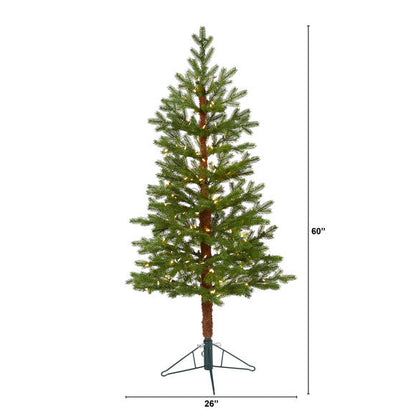 5' Fairbanks Fir Artificial Christmas Tree with 150 Clear Warm LED Lights