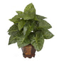 Taro w/Vase Silk Plant