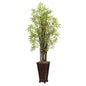 5.5' Grass Bamboo Plant w/Decorative Planter