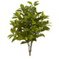 26"  Coffee Leaf Artificial Plant (Set of 2) (Real Touch)