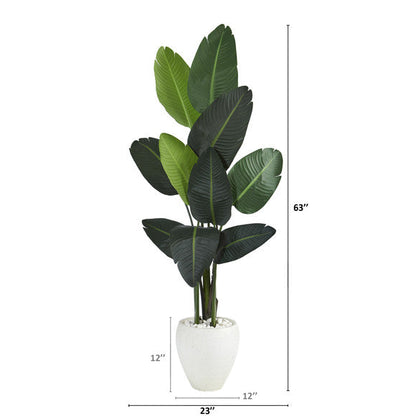 63" Traveler's Palm Artificial tree in White Planter