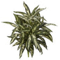 30" Aglonema Artificial Plant (Set of 3)