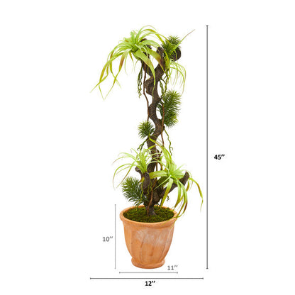 45" Tillandsia Artificial Plant in Terra-Cotta Planter