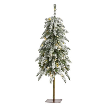 3.5' Flocked Washington Alpine Christmas Tree with 50 White Warm LED lights
