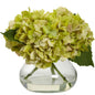 Blooming Hydrangea w/Vase