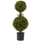 35' Double Boxwood Topiary