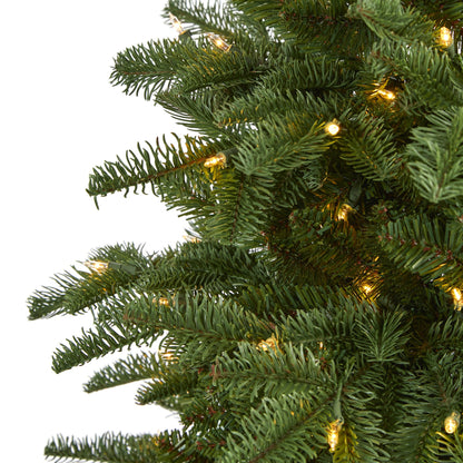 6' South Carolina Fir Artificial Christmas Tree w 450 Clear Lights
