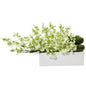 Dancing Lady Orchid in Rectangular Ceramic